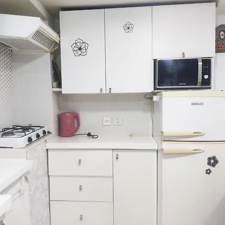 Comfortable Apartment Nizami Street Baku Exterior photo
